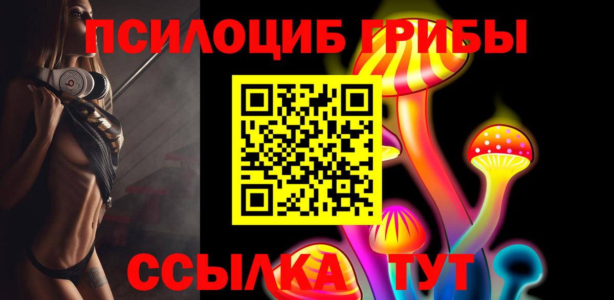 Обнинск  где найти   Вход с VPN  Галлюциногенные грибы мицелий 